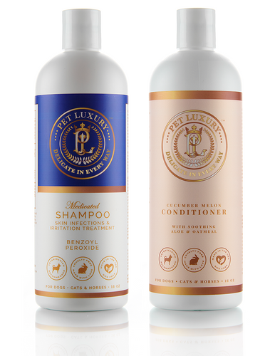 Medicated Shampoo & Conditioner Duo